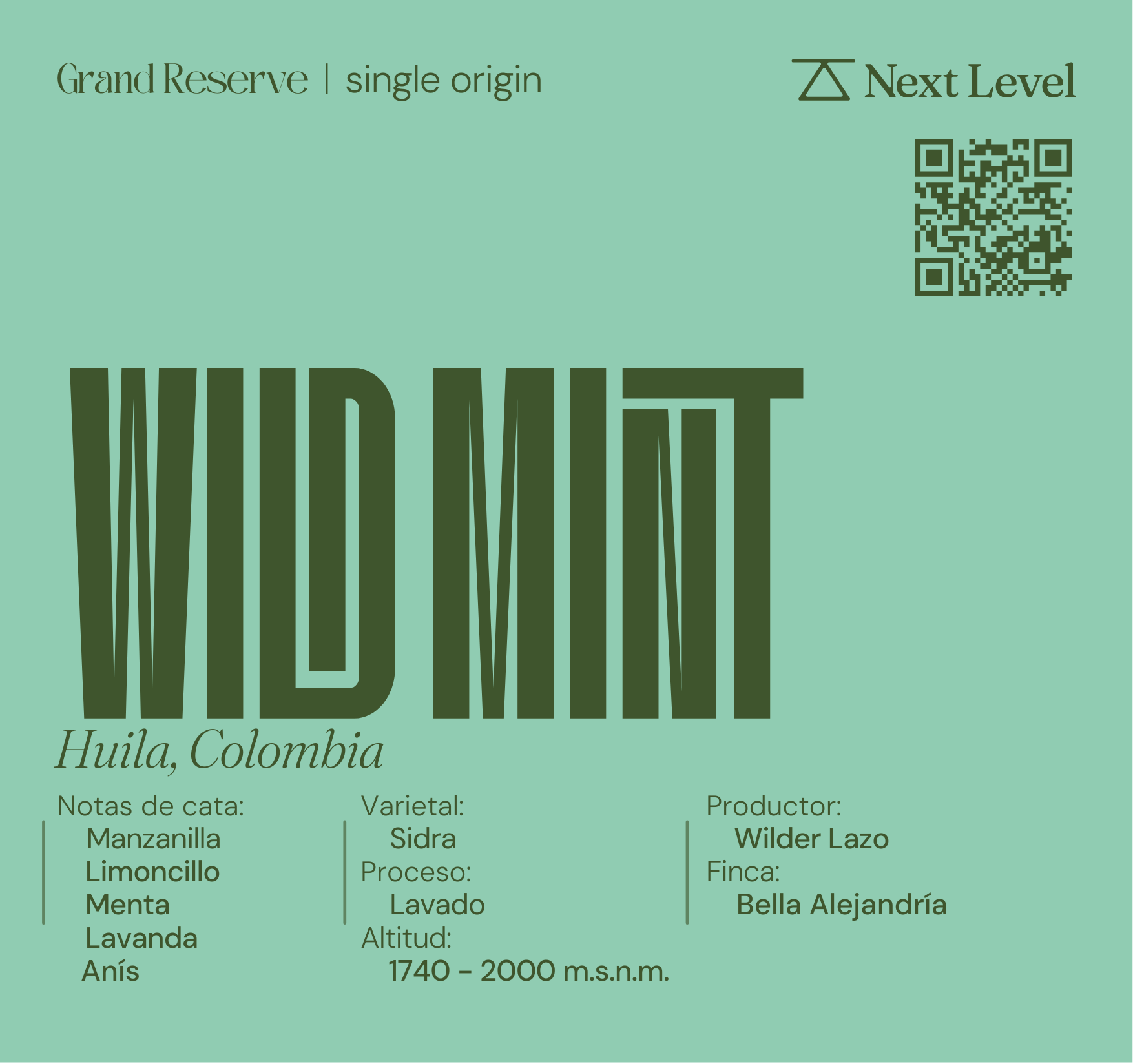Wild Mint
