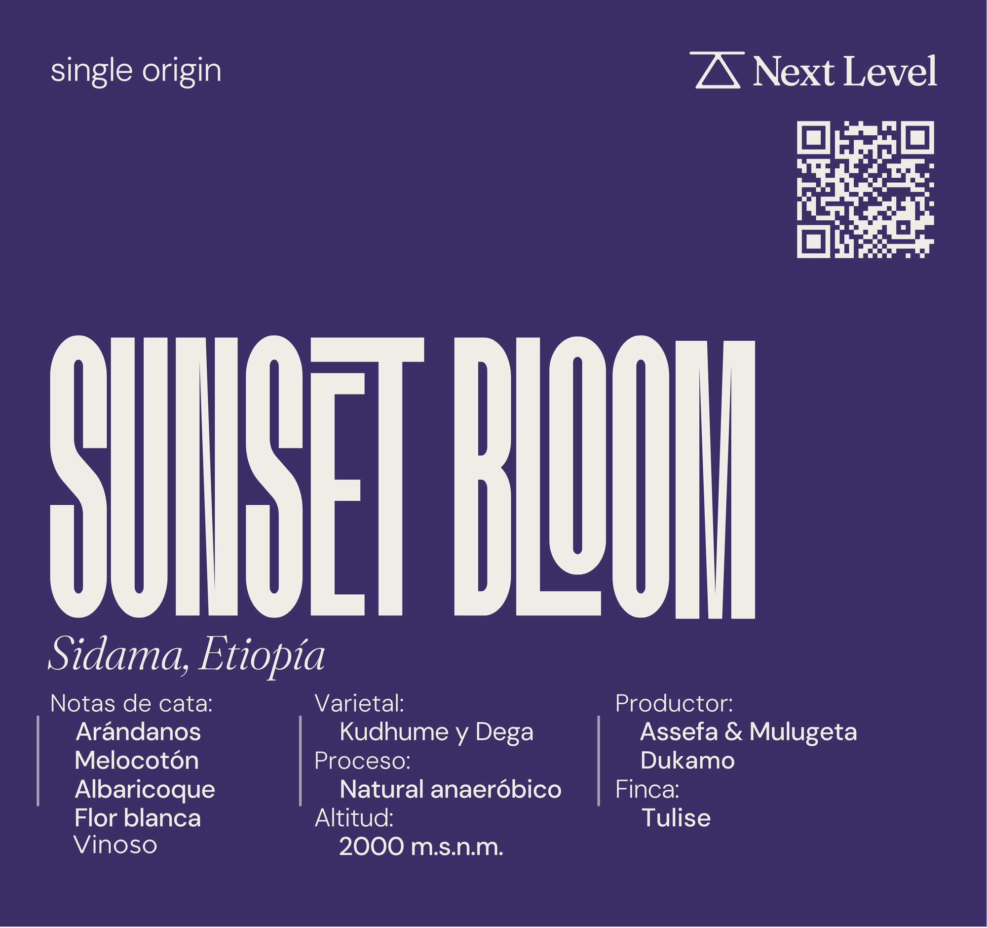 Sunset Bloom