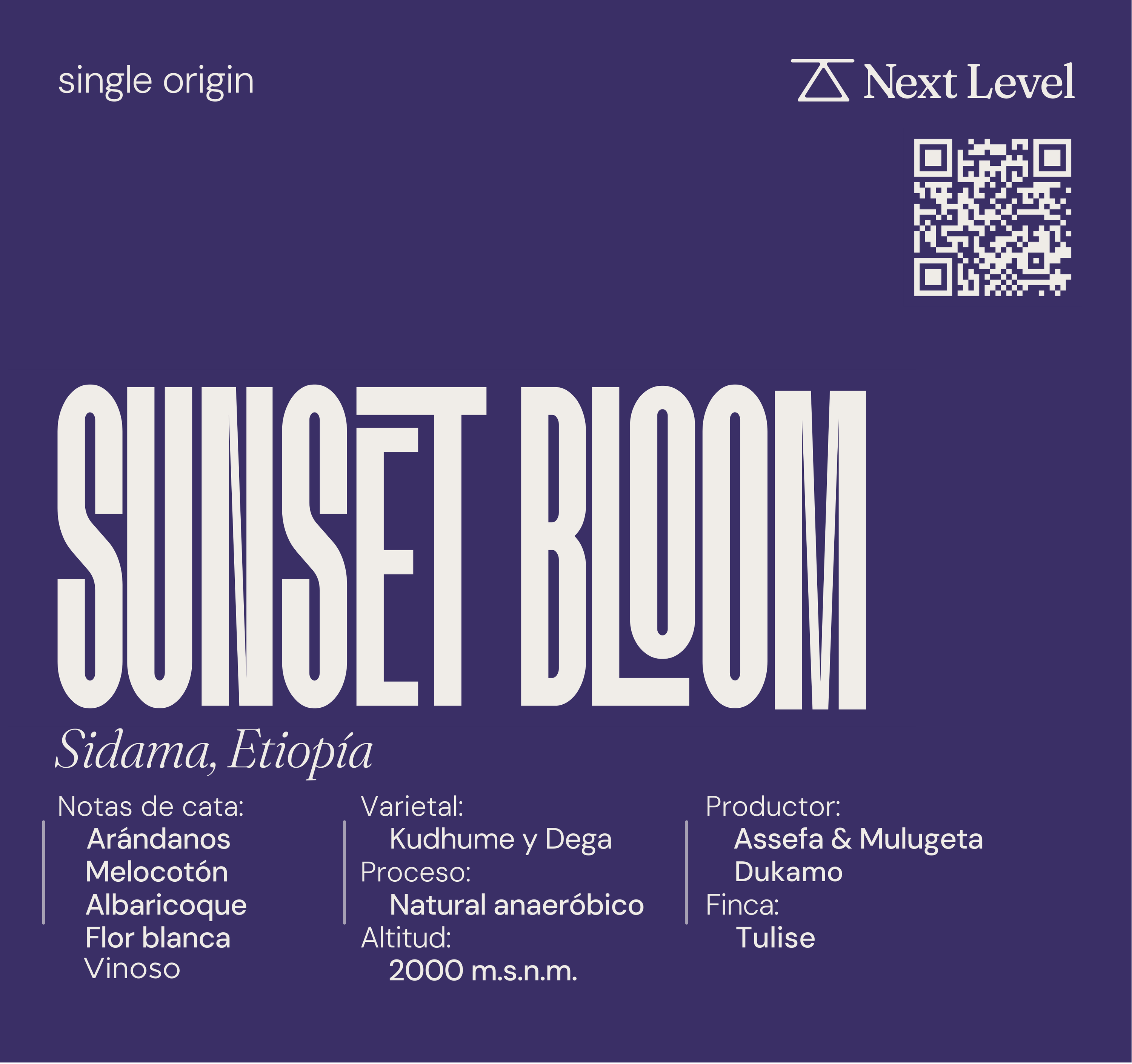Sunset Bloom