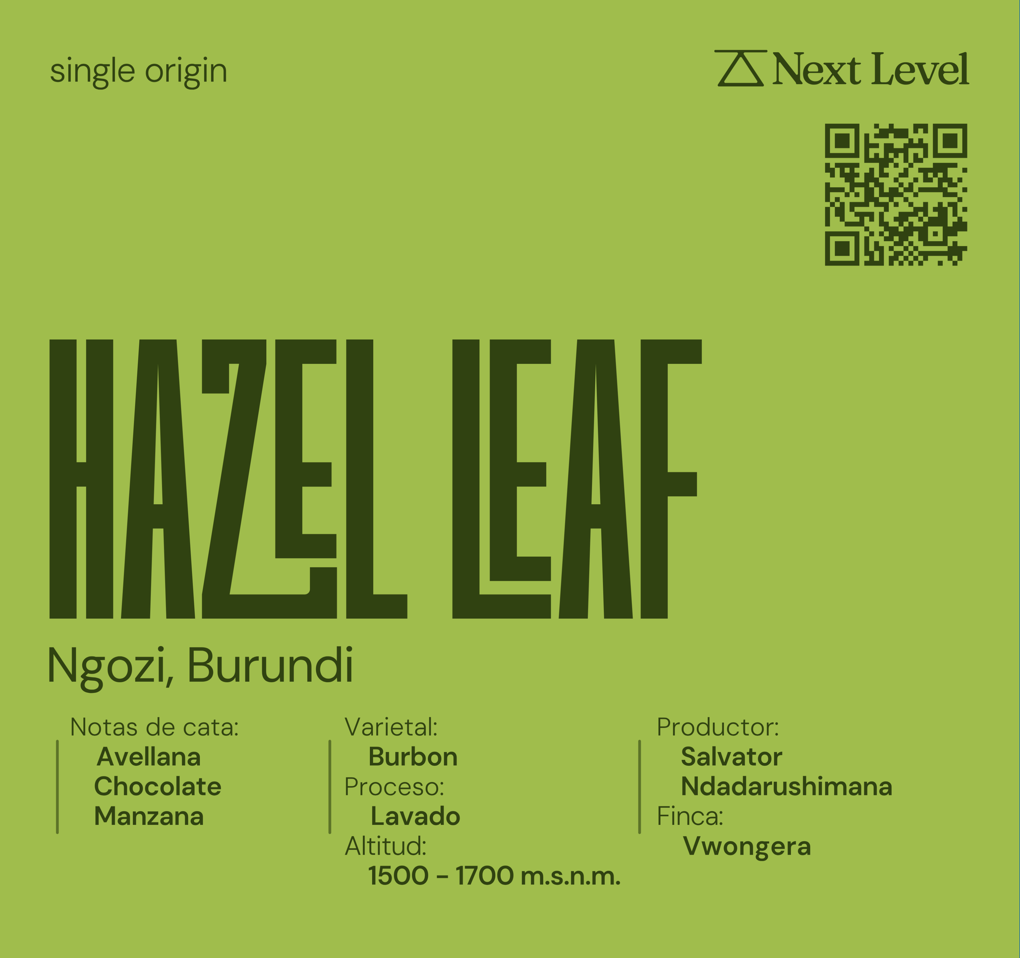 Hazel Leaf