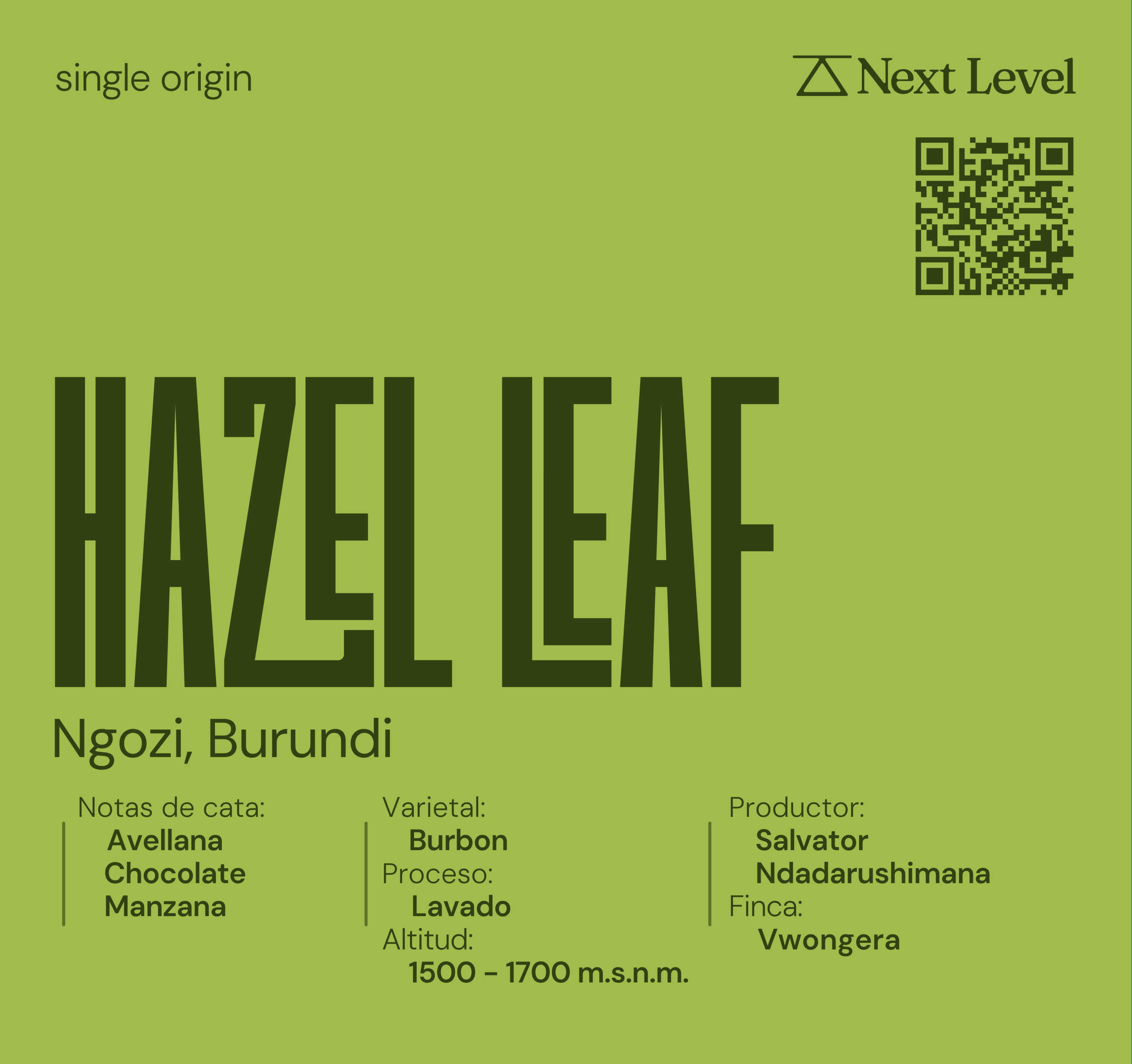 Hazel Leaf