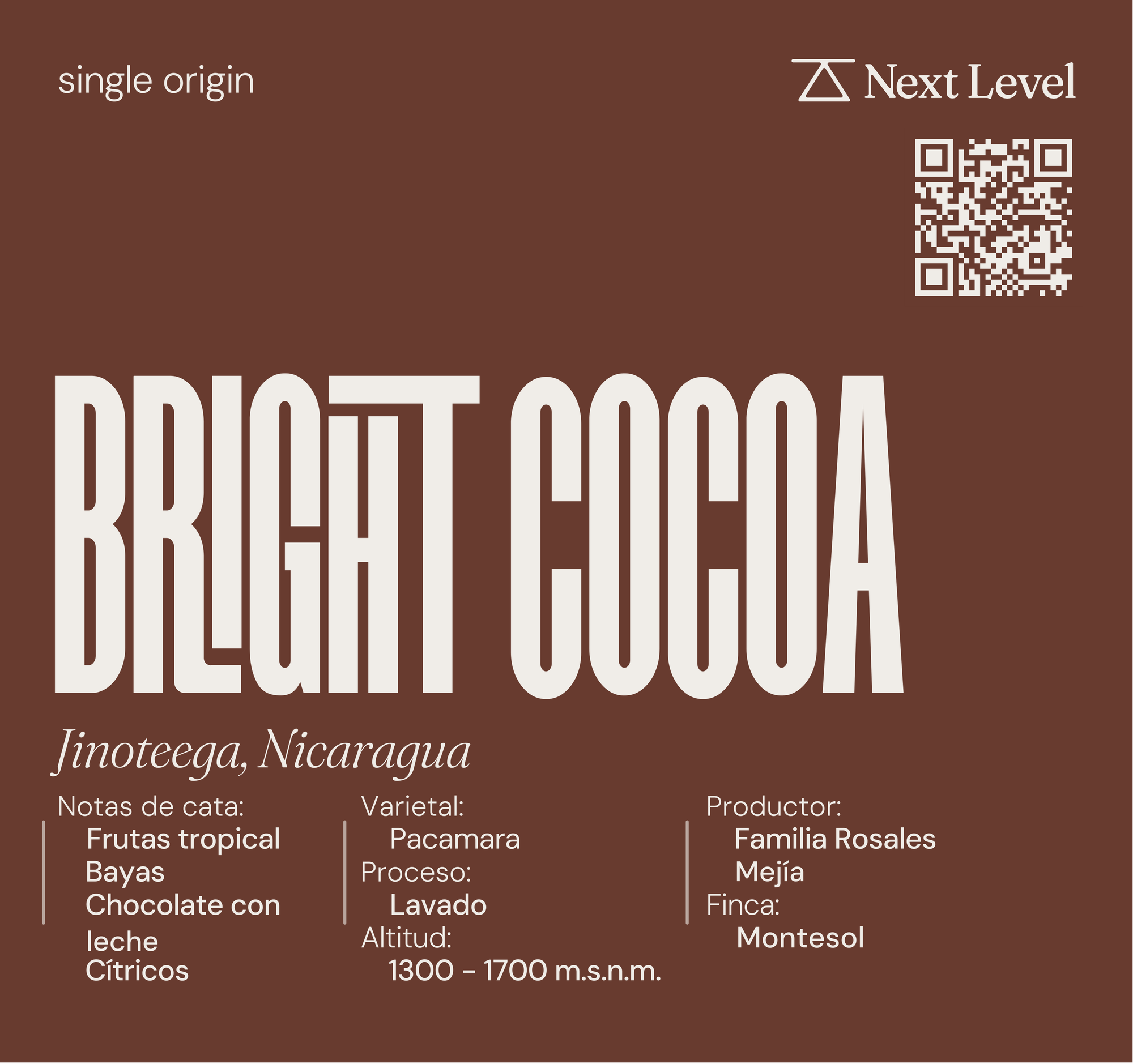 Bright Cocoa